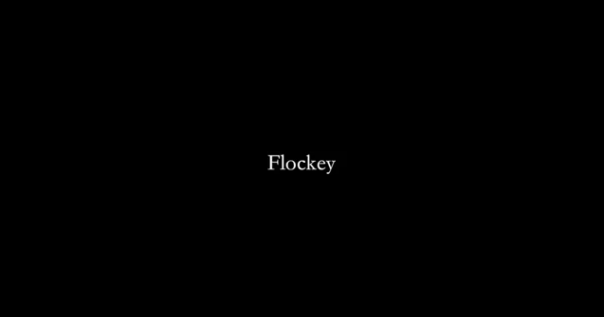 Flockey